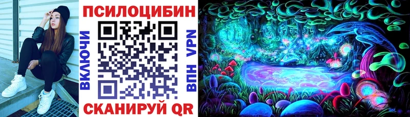 Галлюциногенные грибы Psilocybe  Заволжск 