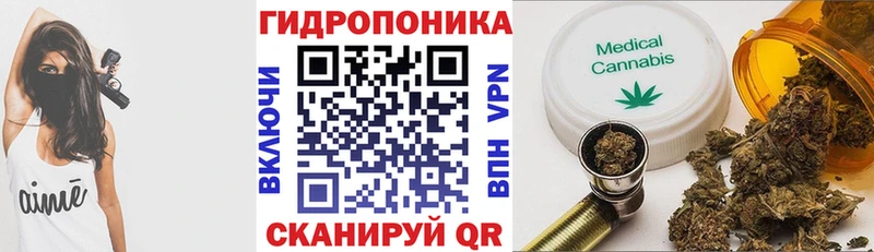 Каннабис SATIVA & INDICA Заволжск